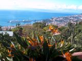Panorama von Funchal CCBYSA 3.0 at-wikimedia.commons Panorama von Funchal CCBYSA 3.0 at-wikimedia.commons