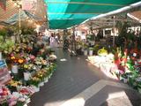 Blumenmarkt in Nizza (C) Conti-Reisen /CTZ 